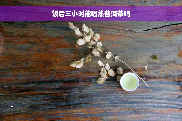 饭后三小时能喝熟普洱茶吗