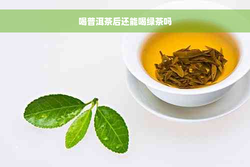 喝普洱茶后还能喝绿茶吗