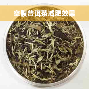 空腹普洱茶减肥效果