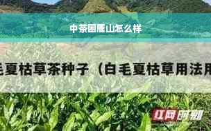 中茶困鹿山怎么样