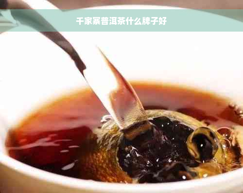 千家寨普洱茶什么牌子好