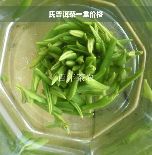 氏普洱茶一盒价格