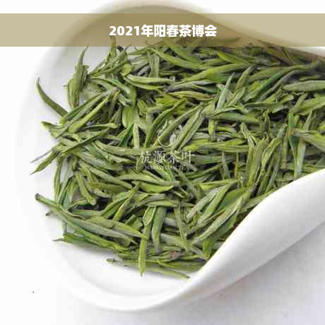 2021年阳春茶博会