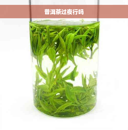 普洱茶过夜行吗