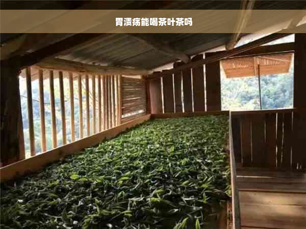 胃溃疡能喝茶叶茶吗