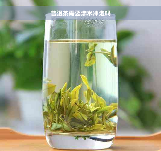 普洱茶需要沸水冲泡吗