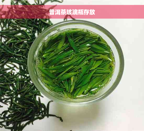 普洱茶玻璃瓶存放