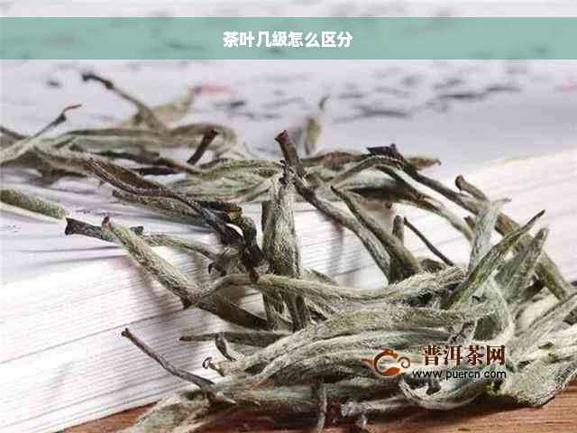 茶叶几级怎么区分