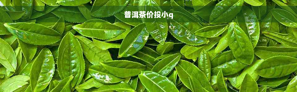 普洱茶价投小q