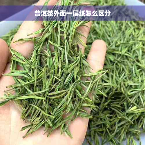 普洱茶外面一层纸怎么区分