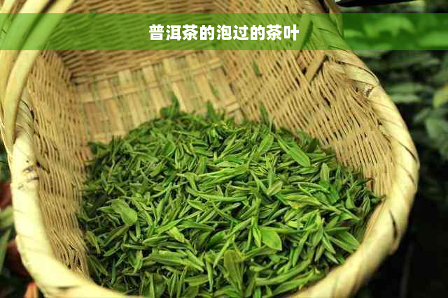 普洱茶的泡过的茶叶