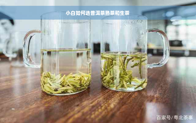 小白如何选普洱茶熟茶和生茶