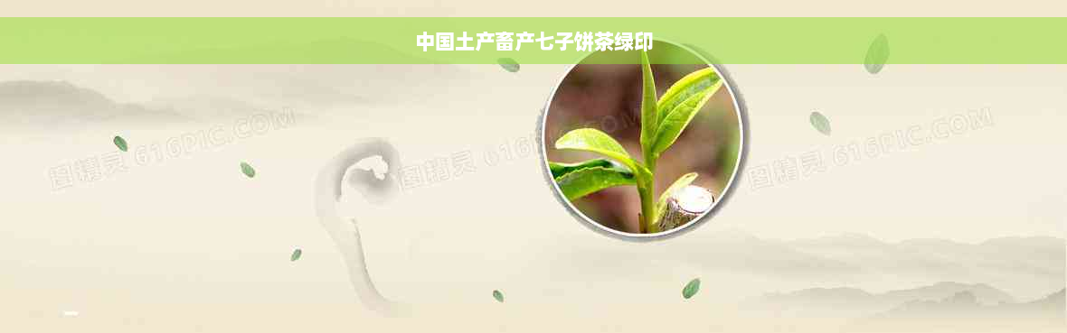 中国土产畜产七子饼茶绿印