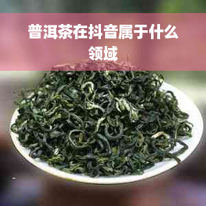 普洱茶在抖音属于什么领域