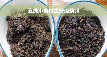 五虎小青柑是普洱茶吗