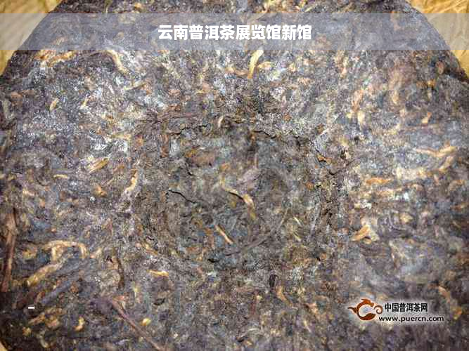 云南普洱茶展览馆新馆