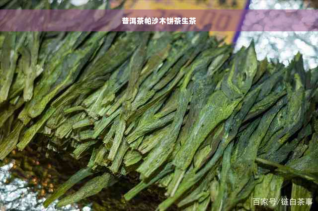 普洱茶帕沙木饼茶生茶