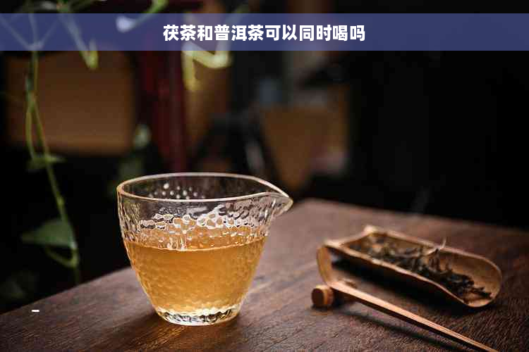 茯茶和普洱茶可以同时喝吗