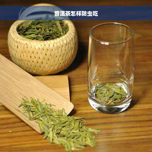 普洱茶怎样防虫吃