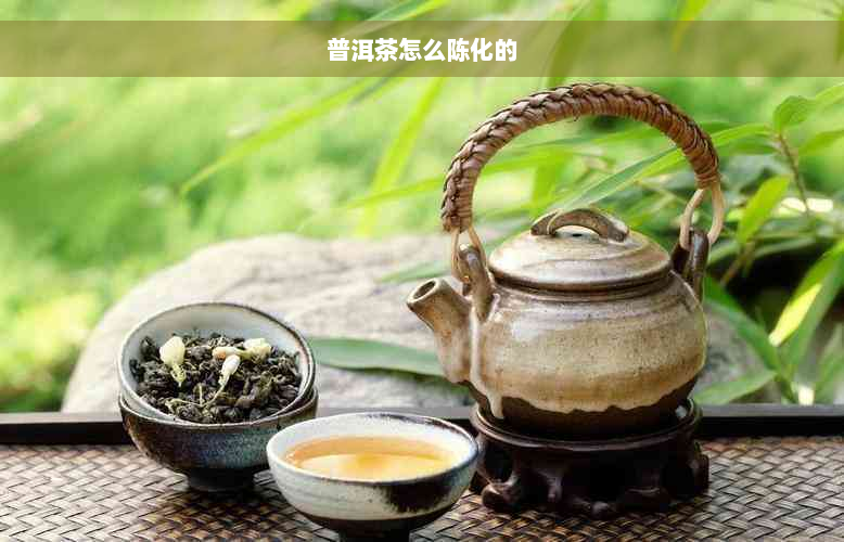 普洱茶怎么陈化的