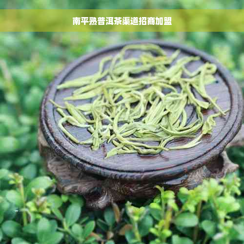 南平熟普洱茶渠道招商加盟