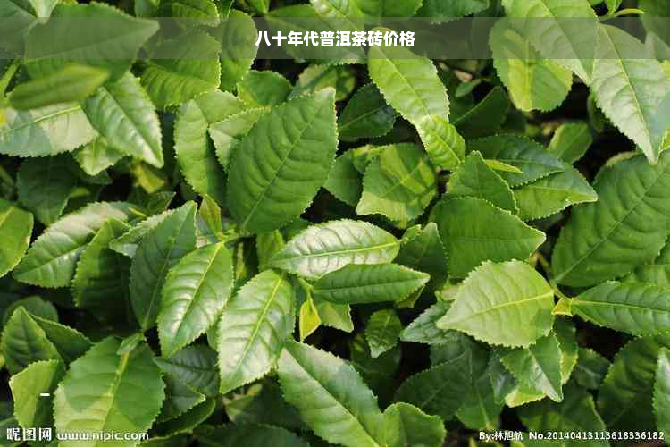 八十年代普洱茶砖价格