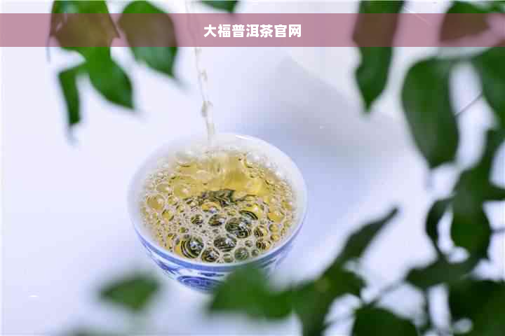 大福普洱茶官网