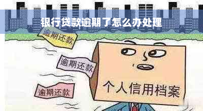 银行贷款逾期了怎么办处理