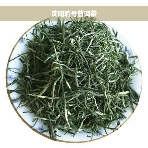 沈阳聘号普洱茶