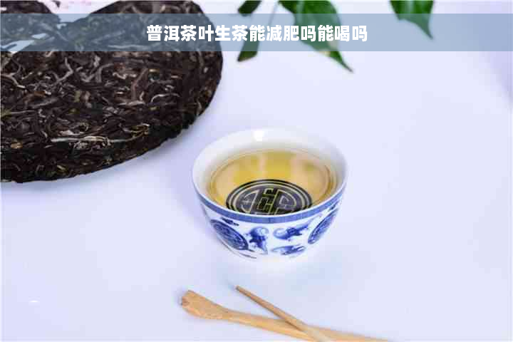 普洱茶叶生茶能减肥吗能喝吗