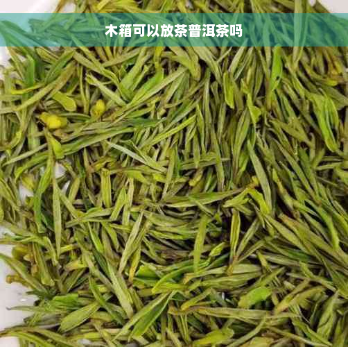 木箱可以放茶普洱茶吗