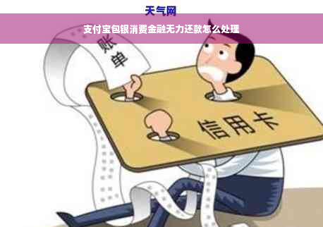 支付宝包银消费金融无力还款怎么处理