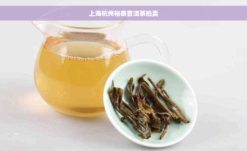 上海杭州裕泰普洱茶拍卖