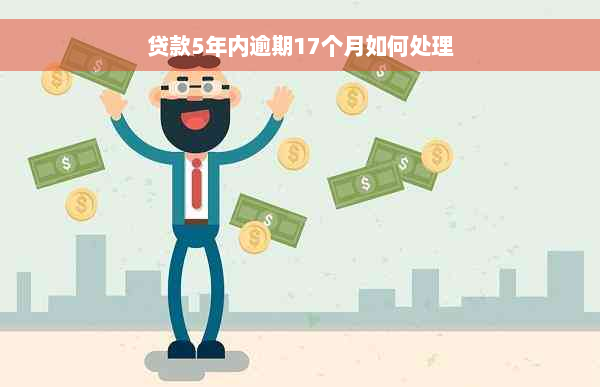 贷款5年内逾期17个月如何处理