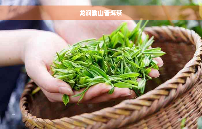 龙润勤山普洱茶