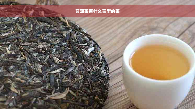 普洱茶有什么壶型的茶