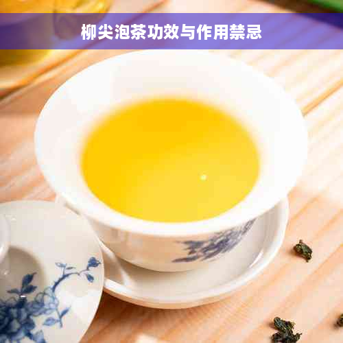 柳尖泡茶功效与作用禁忌