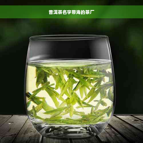 普洱茶名字带海的茶厂