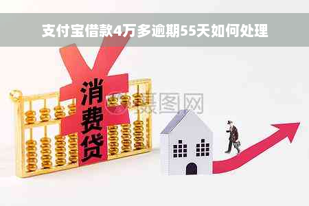 支付宝借款4万多逾期55天如何处理