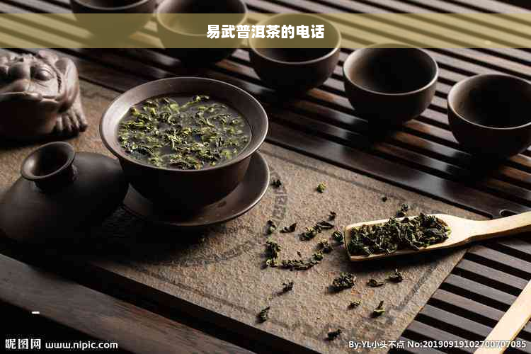 易武普洱茶的电话