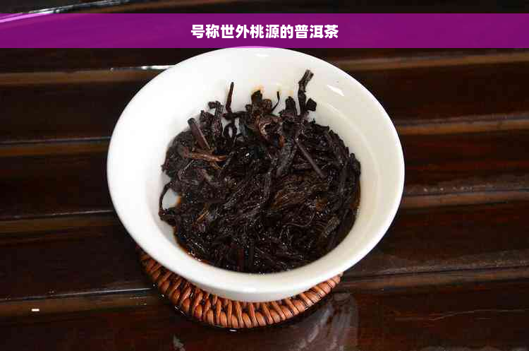 号称世外桃源的普洱茶