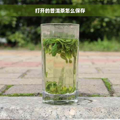 打开的普洱茶怎么保存