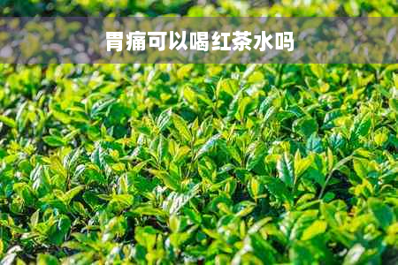 胃痛可以喝红茶水吗