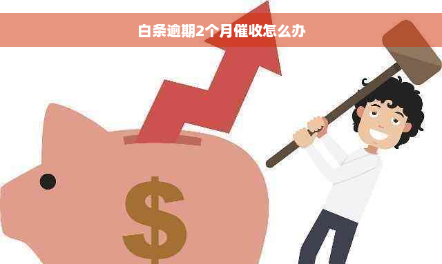 白条逾期2个月催收怎么办