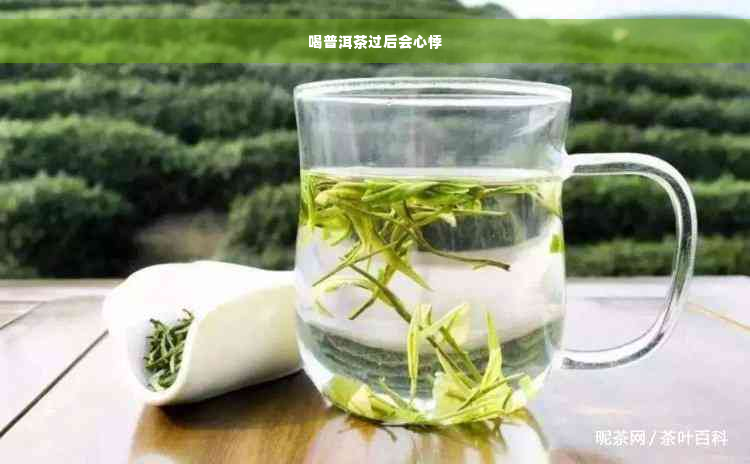 喝普洱茶过后会心悸