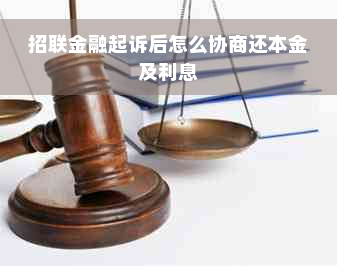 招联金融起诉后怎么协商还本金及利息