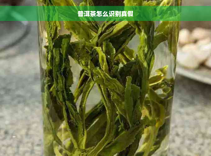 普洱茶怎么识别真假