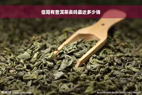 信阳有普洱茶卖吗最近多少钱