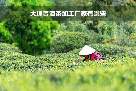 大理普洱茶加工厂家有哪些