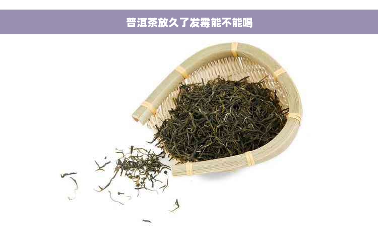 普洱茶放久了发霉能不能喝